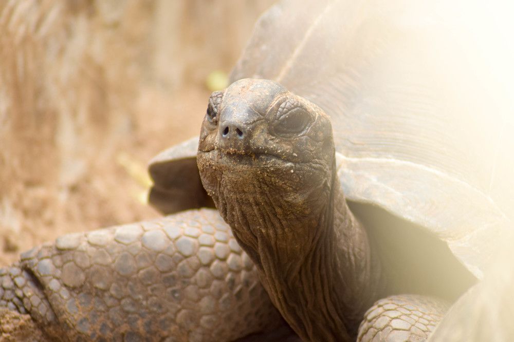 Photograph by Maryam Charles