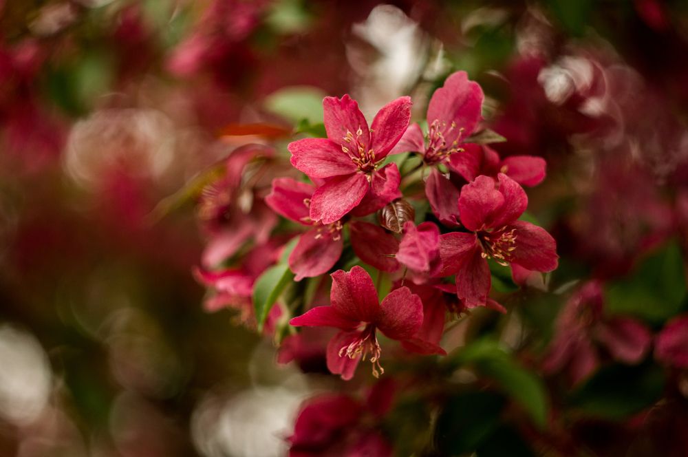 Photograph by Наталья