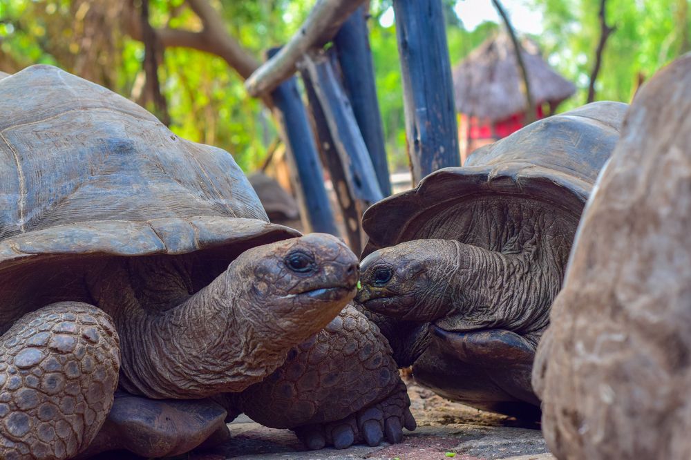 Photograph by Maryam Charles