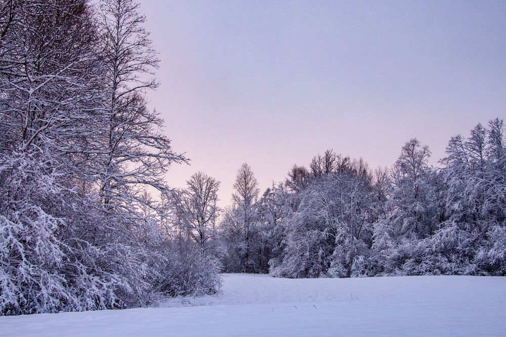 Photograph by Диана