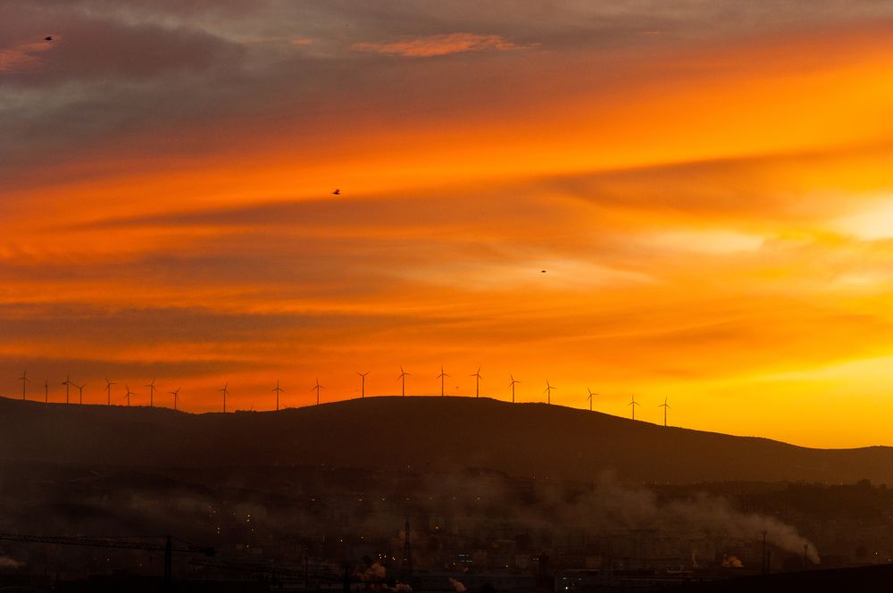 Фотография автора toufik loukili