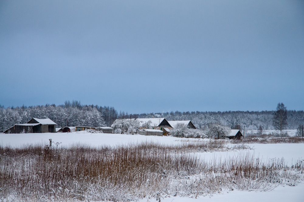 Photograph by Диана