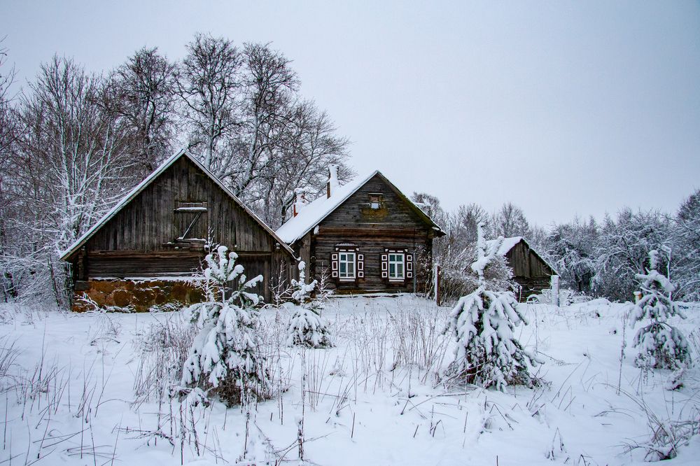 Photograph by Диана