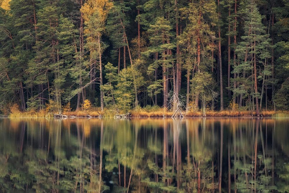 Photograph by Daiva Dgs