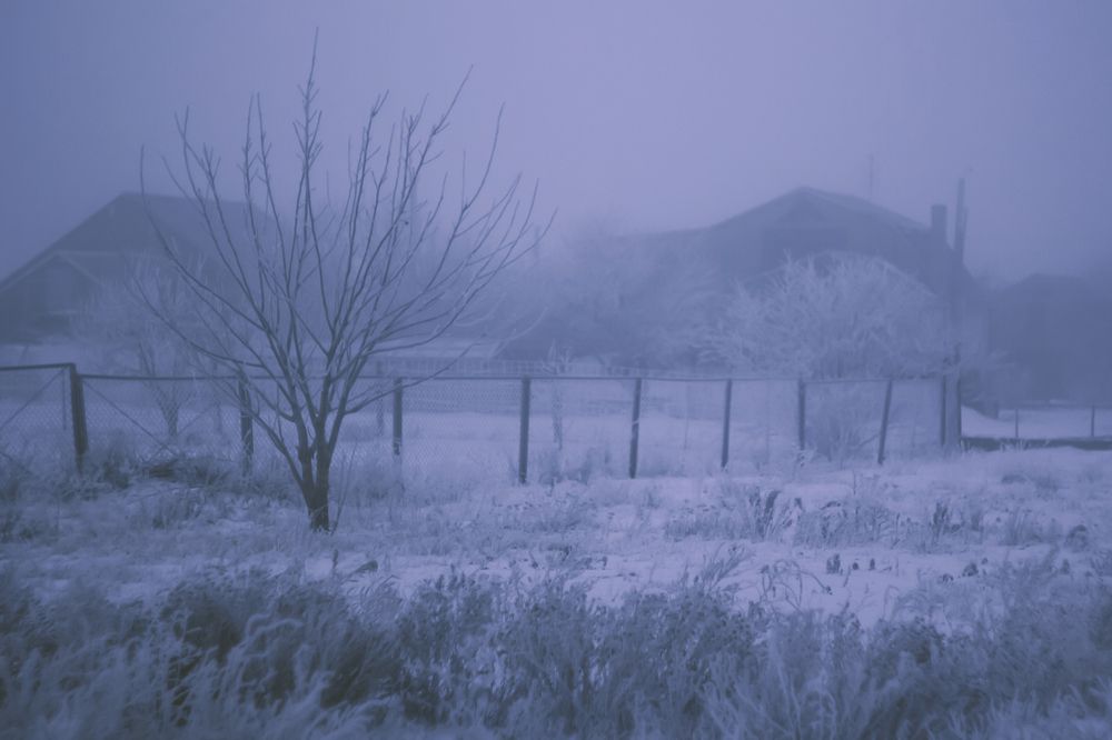 Photograph by Яна Петрова