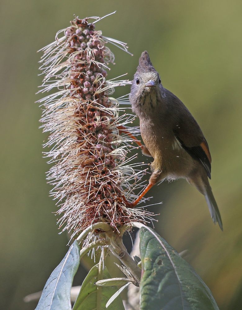 Photograph by Partha Sarkar