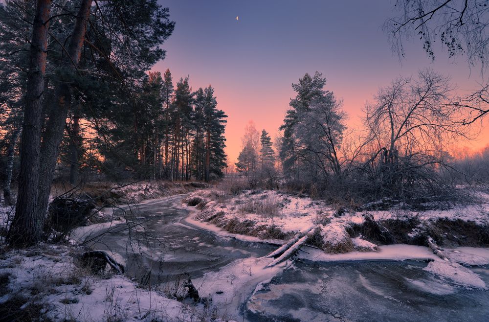 Photograph by (Roman) Heger