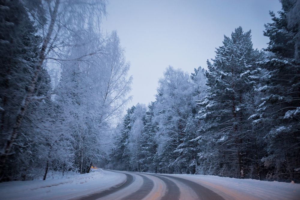 Photograph by Мария Медведева