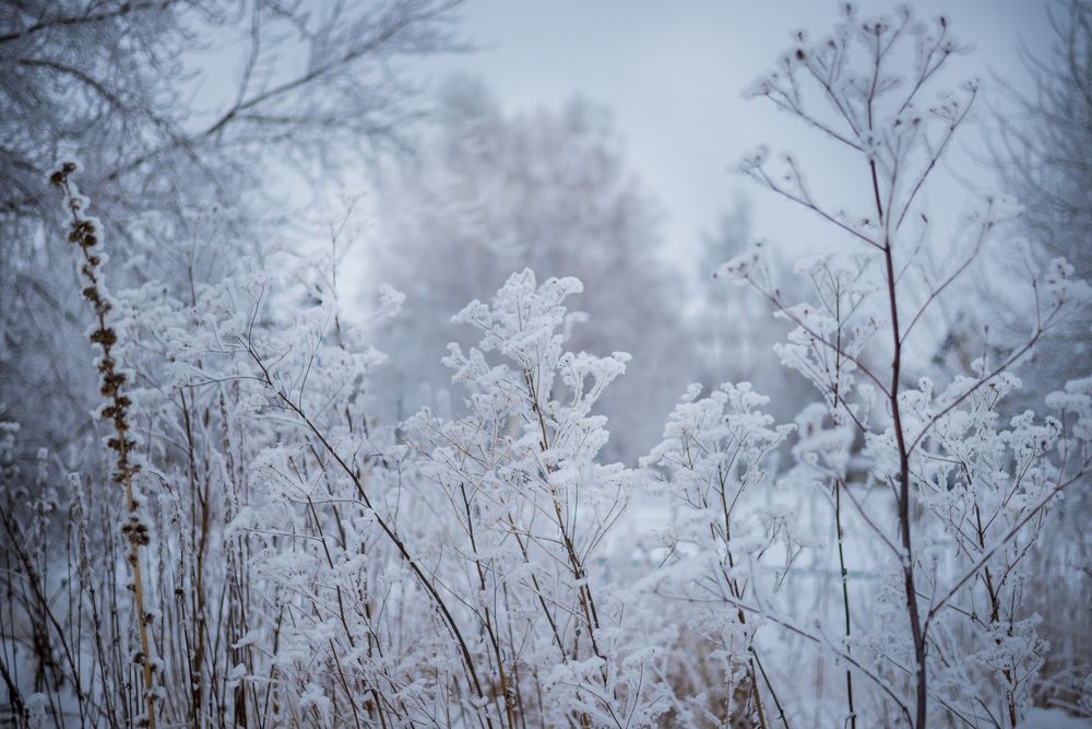 Photograph by Мария Медведева