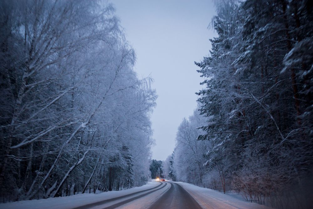 Photograph by Мария Медведева