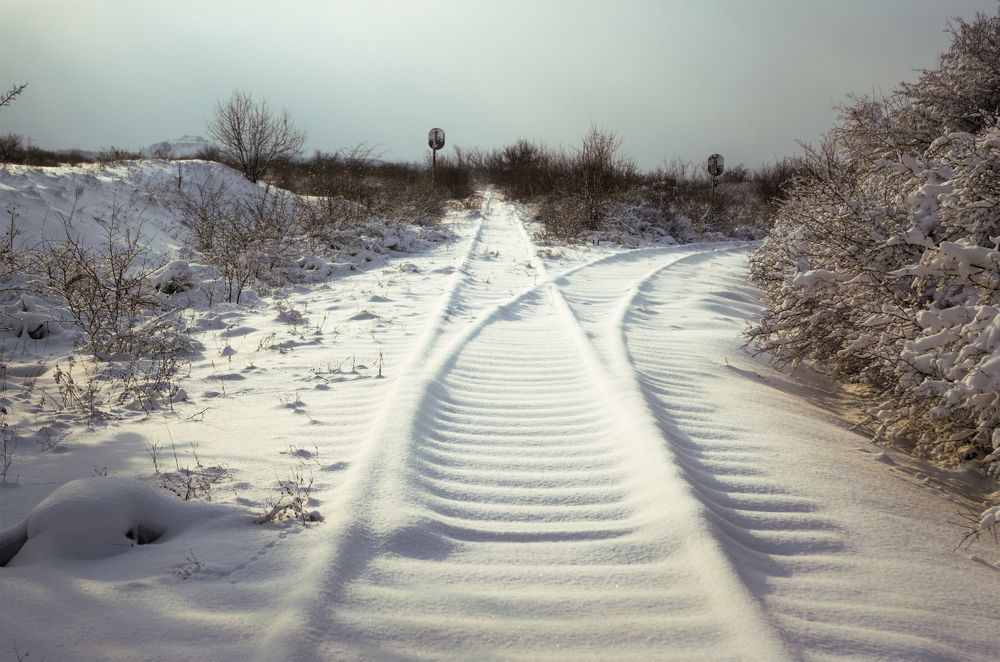 Photograph by Олег Коваль