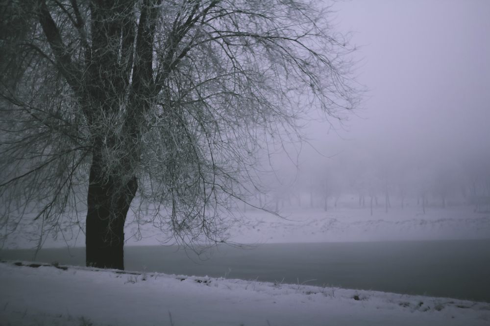 Photograph by Яна Петрова