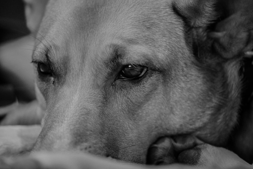 Photograph by Никита Полозов