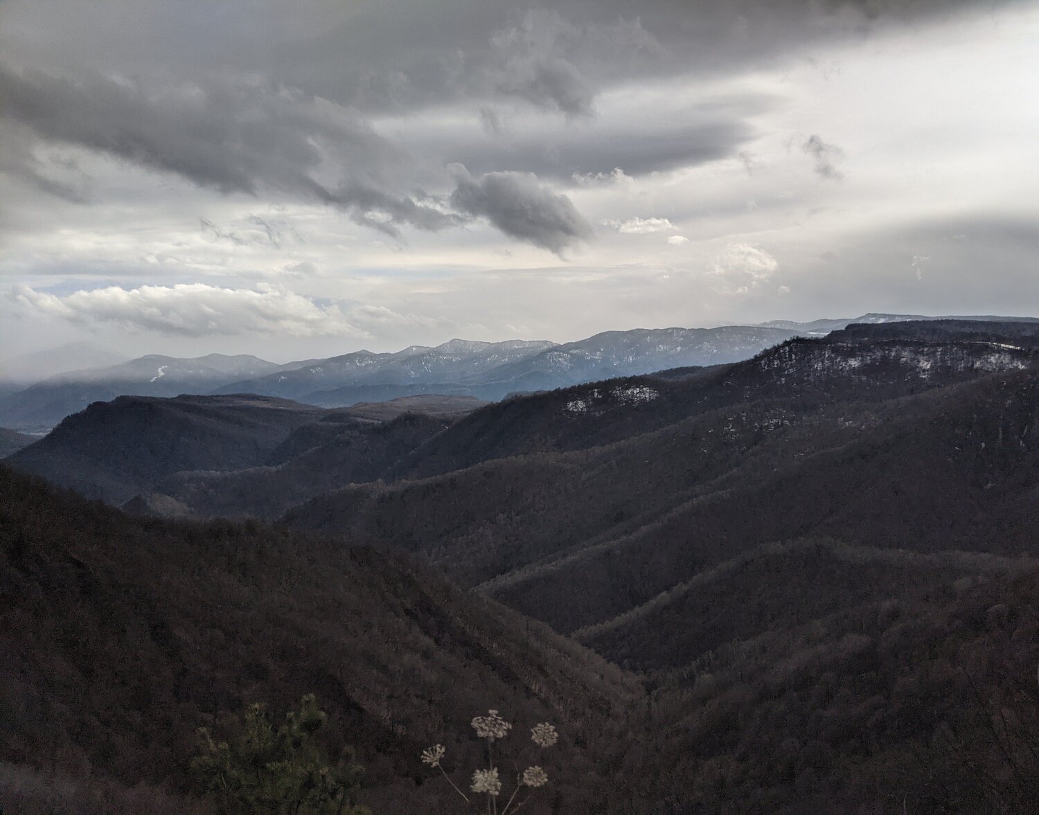 Photo #5812790