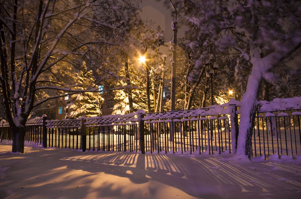 Photograph by Олег Коваль