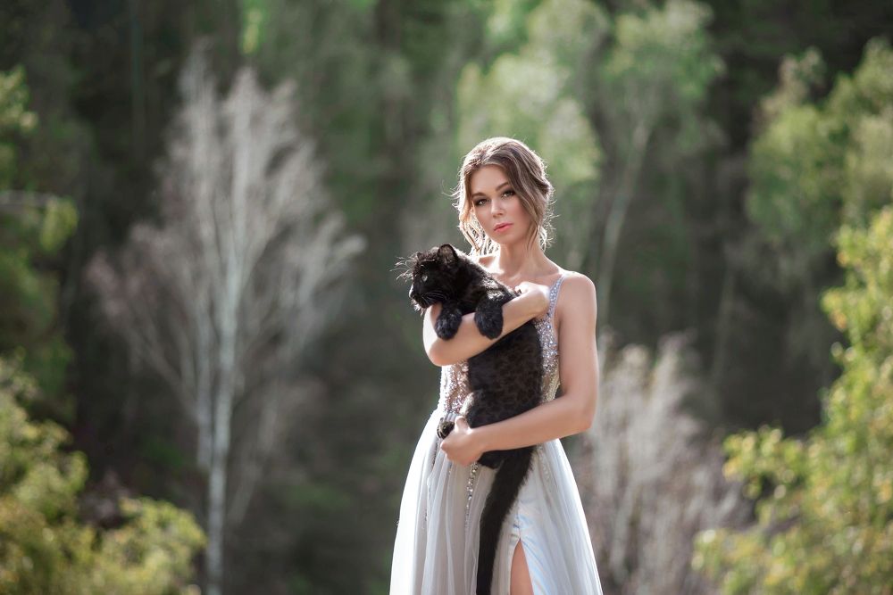 Фотография автора Софья Ознобихина