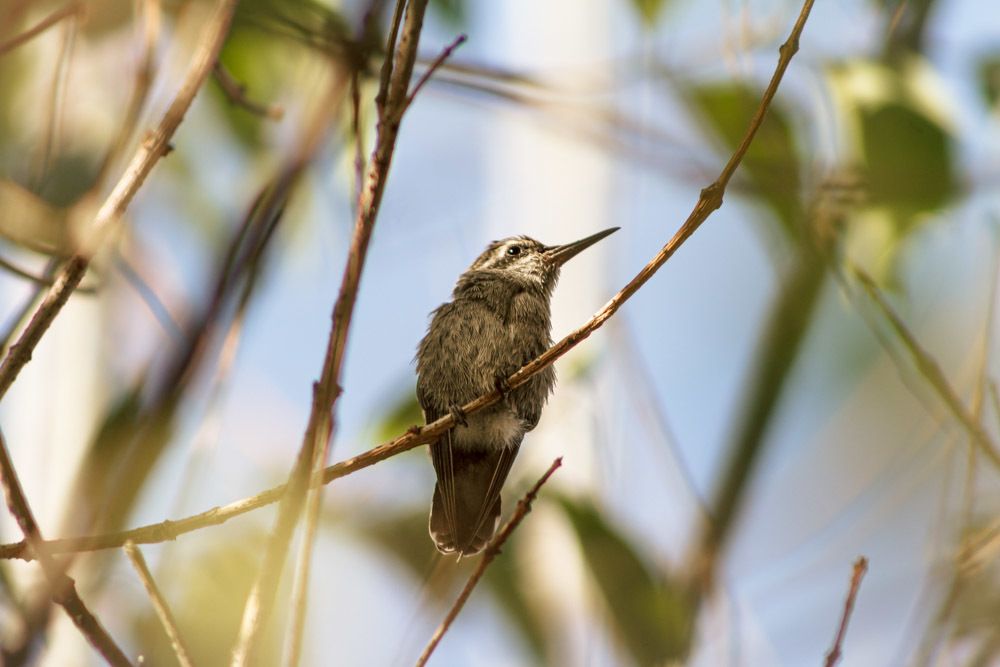 Photograph by Ingrid García