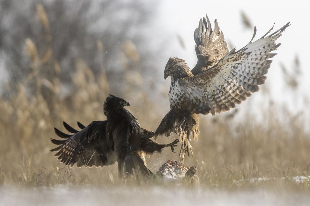 Photograph by Flora Jakab