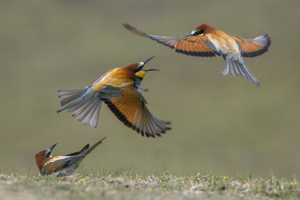 Photograph by Flora Jakab