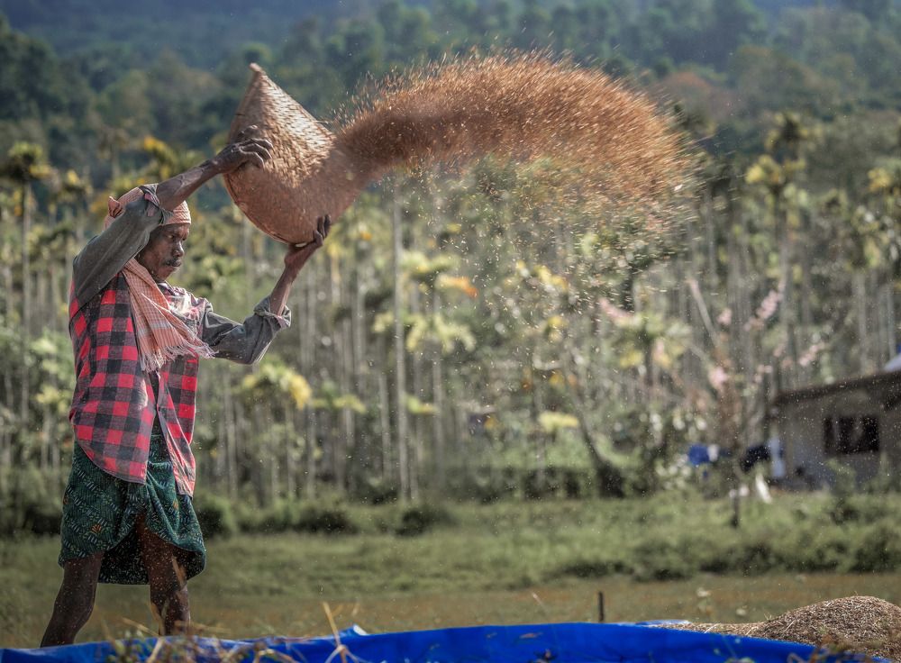 Photograph by Shanavas K T