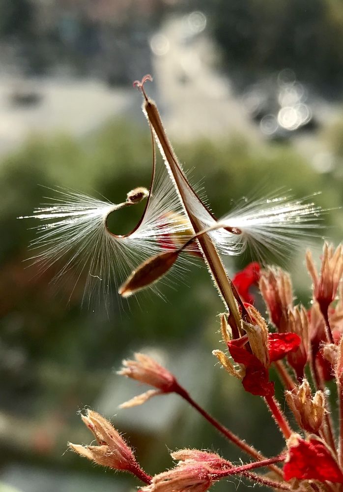 Photograph by Юлия Лис-а