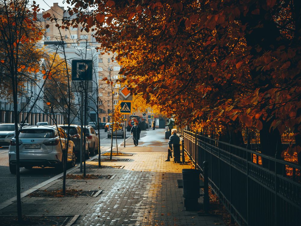 Осенняя прогулка..