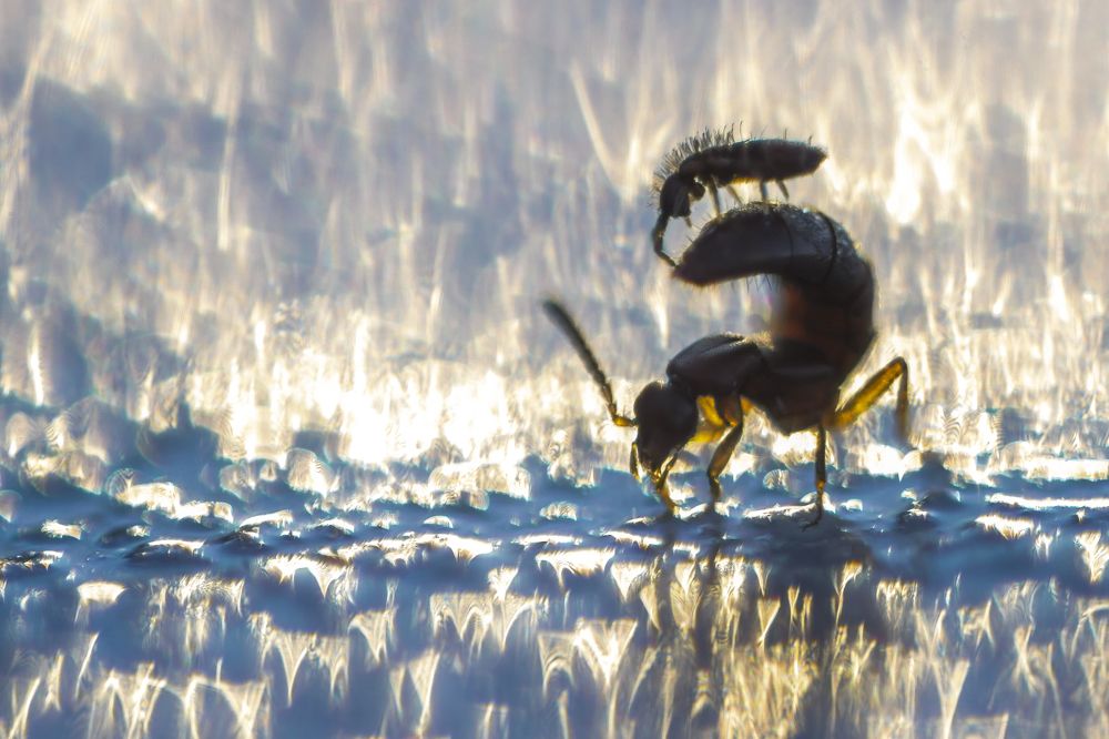 Photograph by Flora Jakab