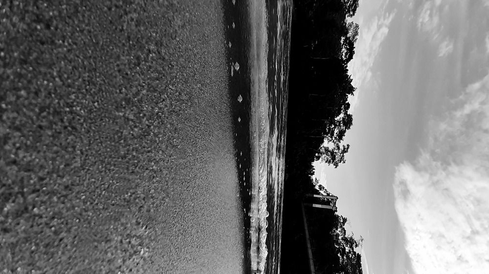 Photo #5813035