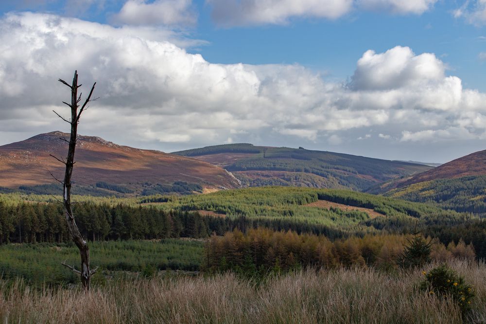 Photograph by Пётр Воронов