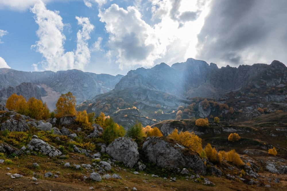 Свет и тень