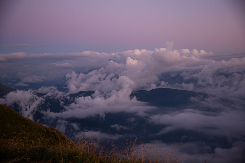 Photograph by Ирина Команова