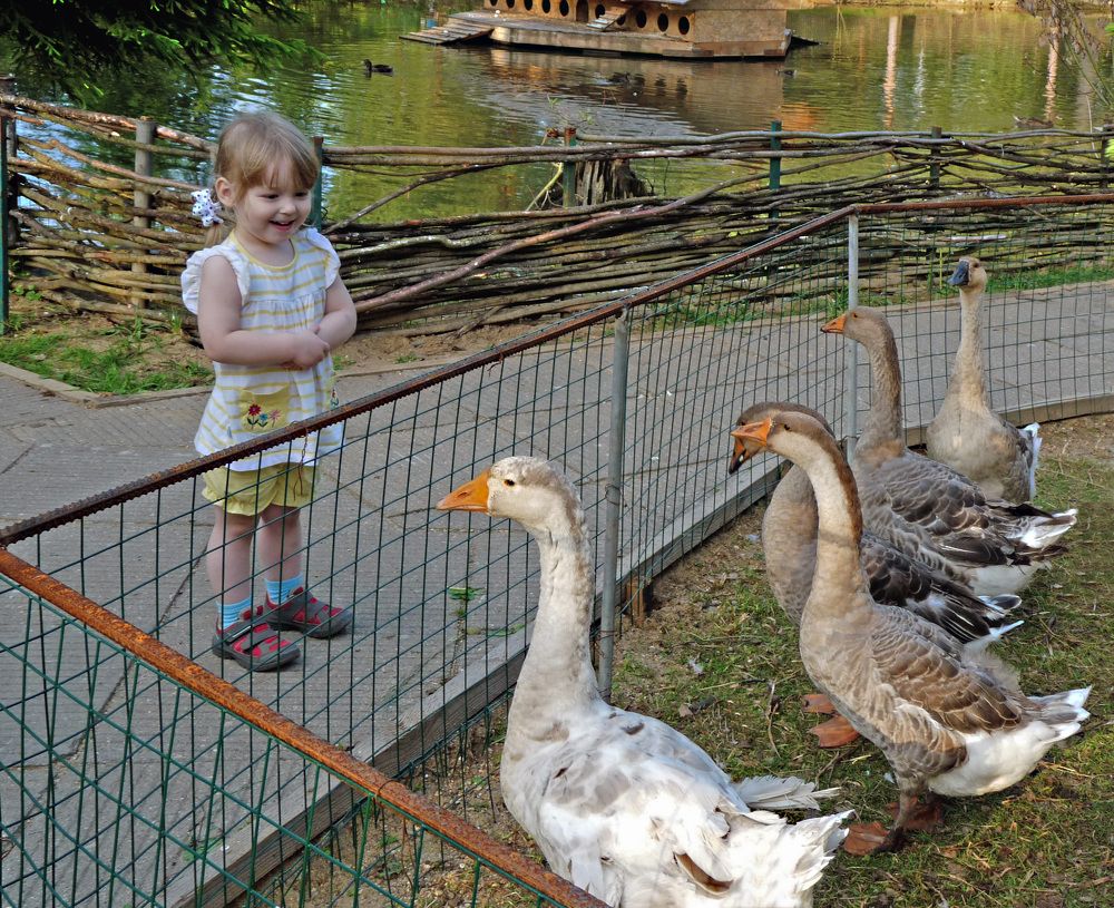 Photograph by Светлана Кукушкина