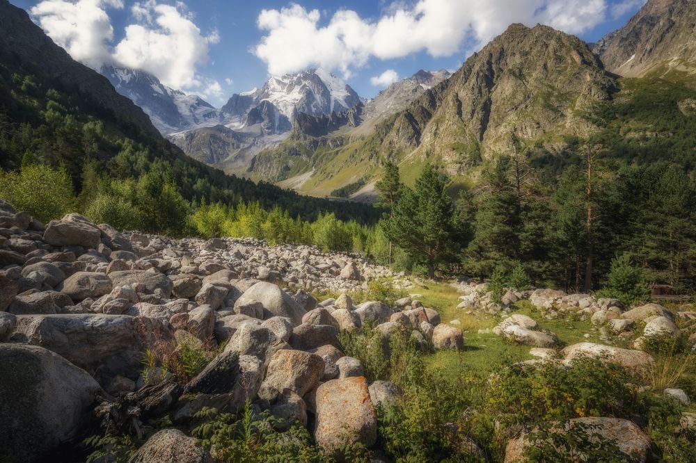 Photograph by ОЛЬГА КОВАЛЁВА