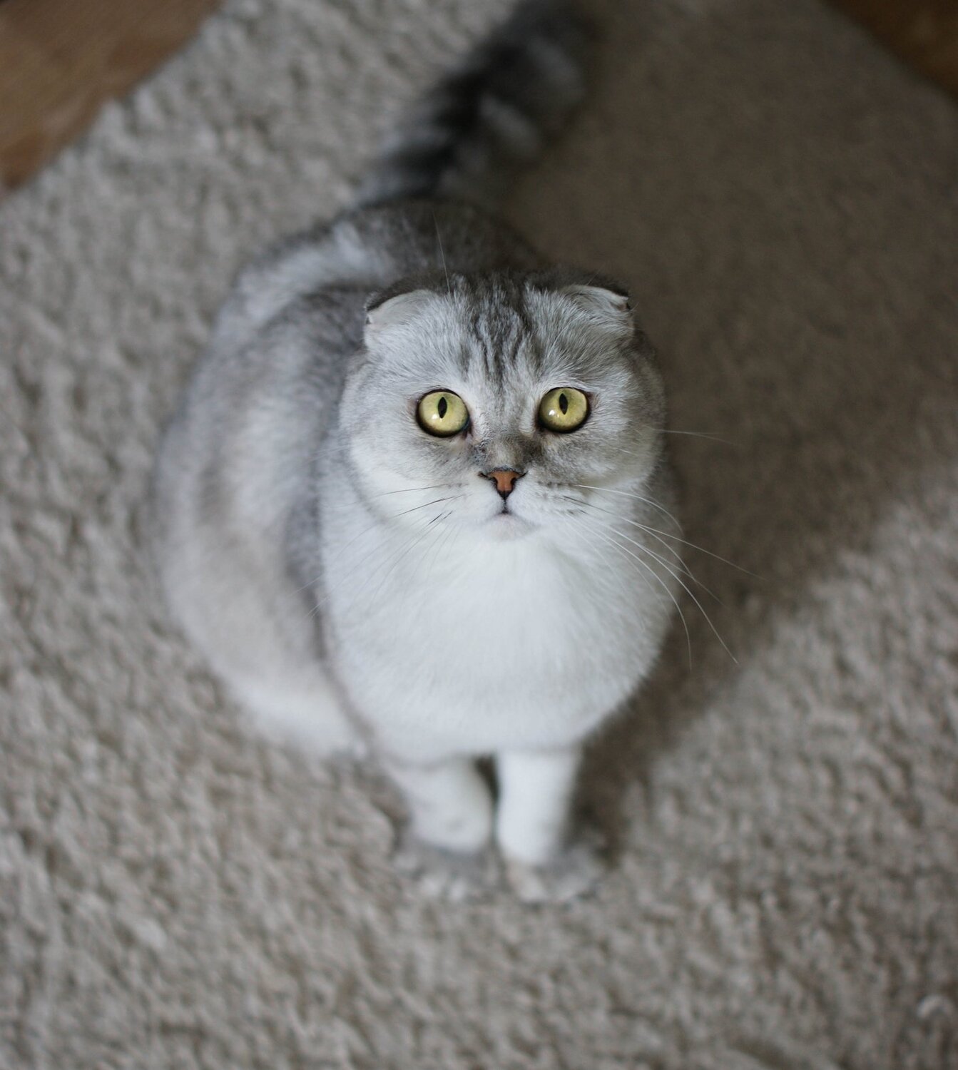 Photo #5813175