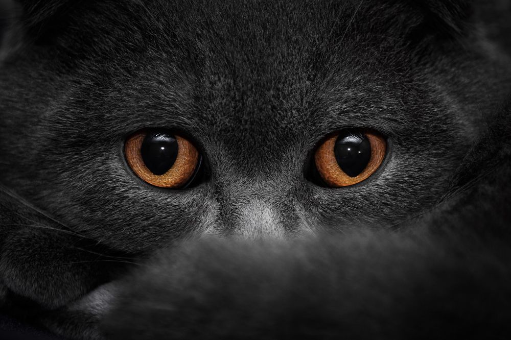 Photograph by Юрий Диденко