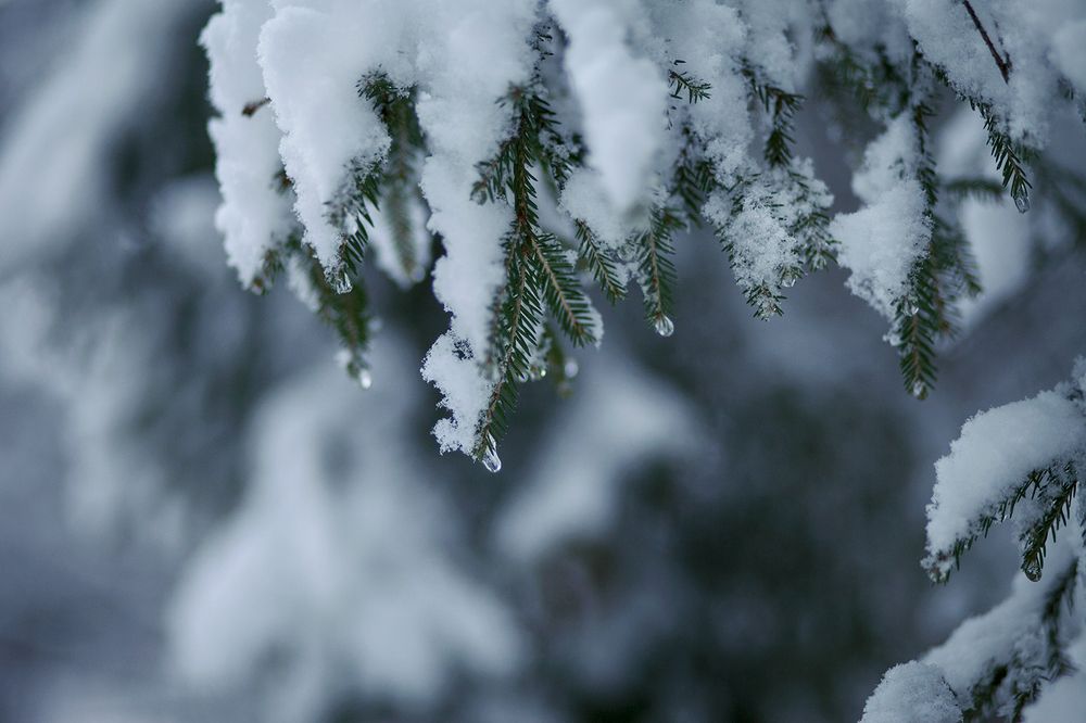 Photograph by Марина Киселева