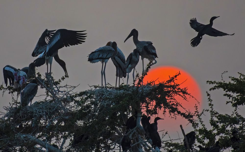 Photograph by Subir Ghosh