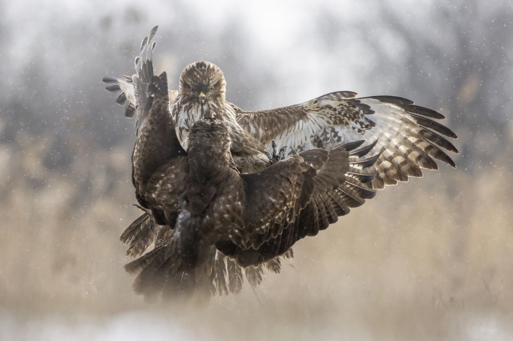 Photograph by Flora Jakab