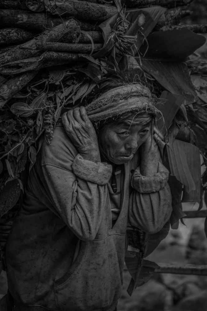 Photograph by Arkoprobho Pal