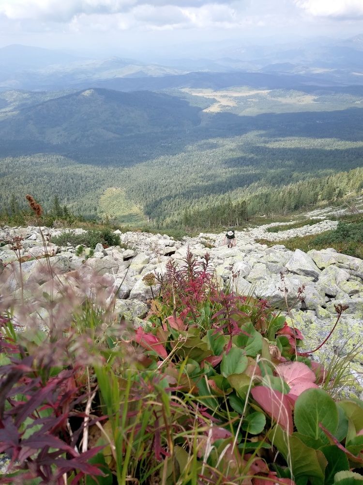 Photograph by Алла Максимович