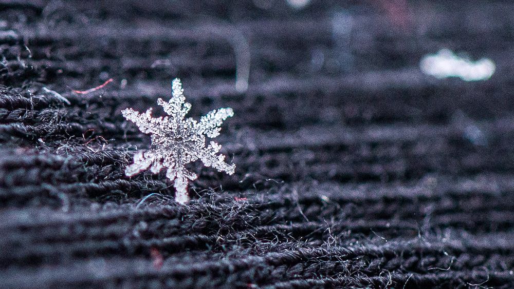 Photograph by Ирина Команова