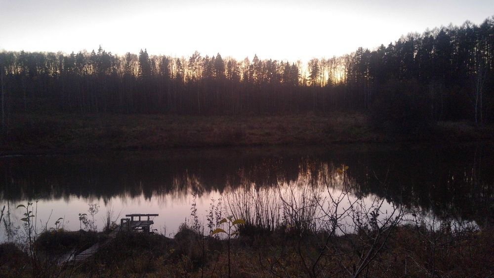Pond