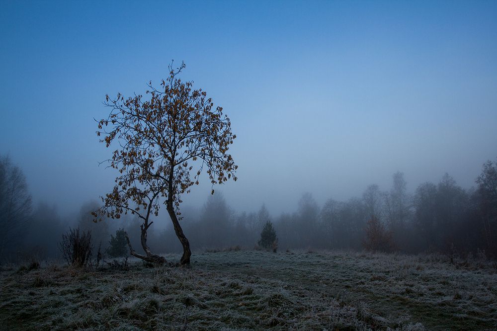 Photograph by Андрей Костромин