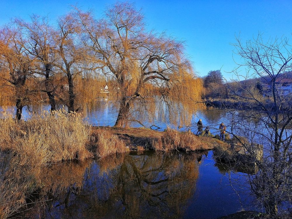 Фотография автора З Ї
