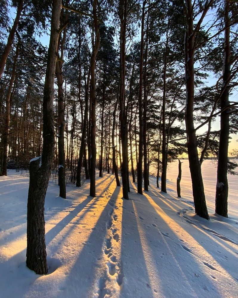 Photograph by Анатолий Андреев