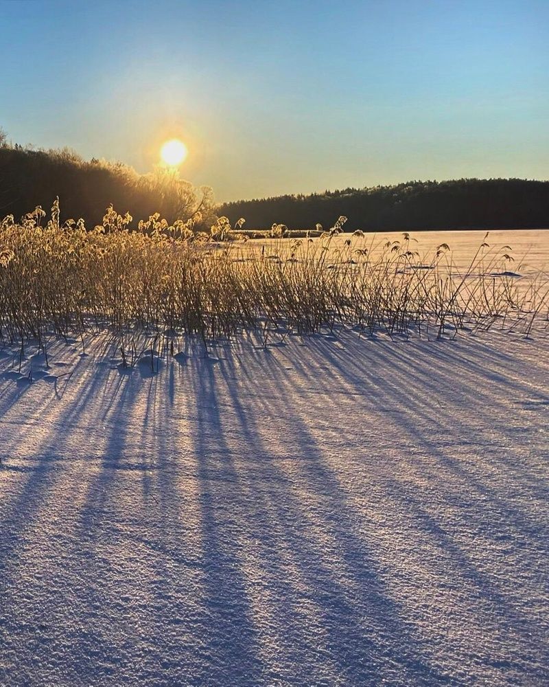 Photograph by Анатолий Андреев