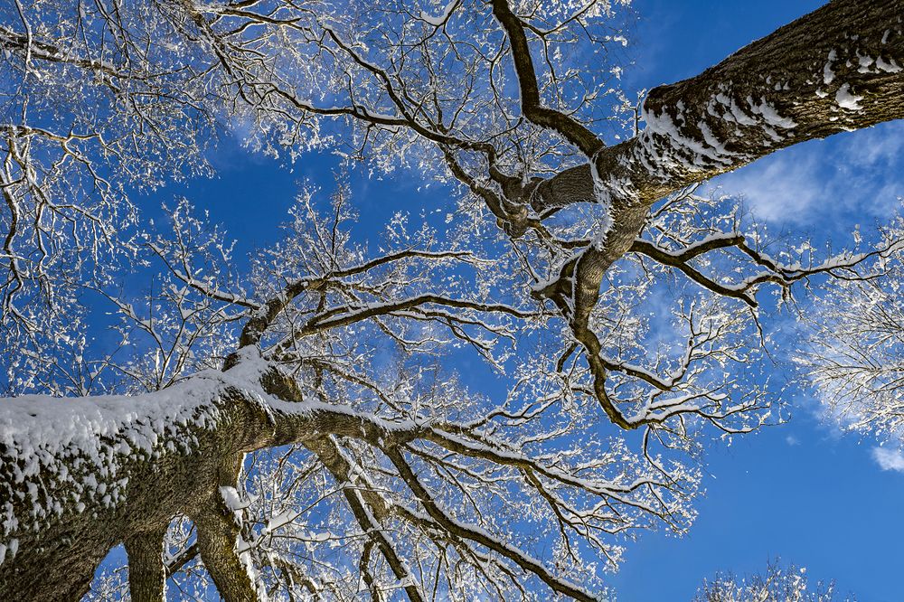 Photograph by Gatis Vilbrants