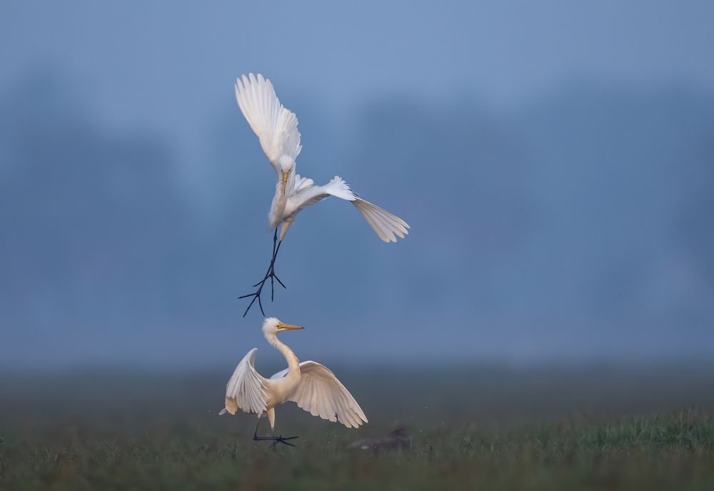 Photograph by Dilip Shah
