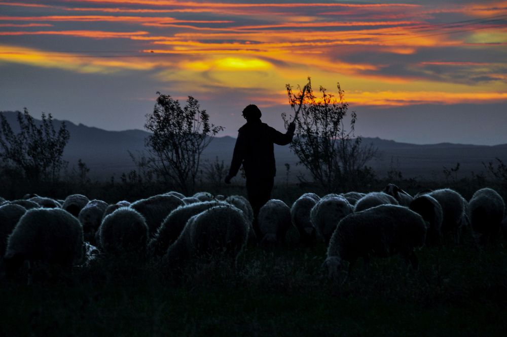 Photograph by Alireza kafizadeh