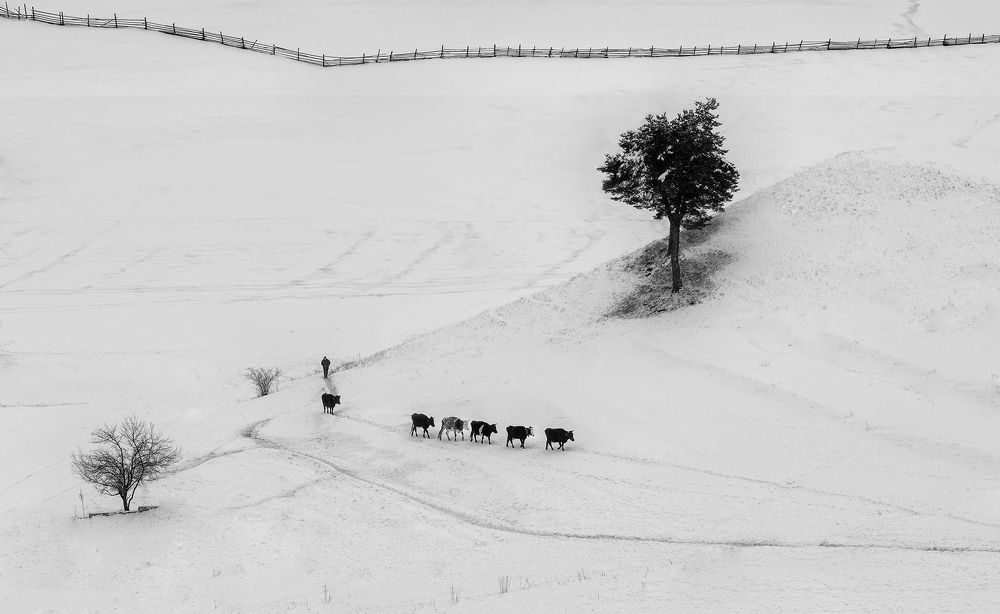 Photograph by Petya Lazarova